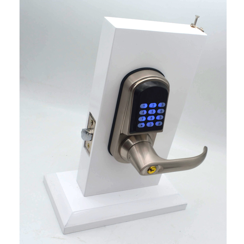 Cerradura Digital para Puerta  - Door Lock reseña y precio